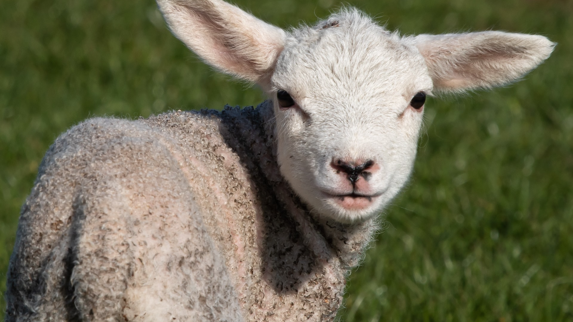 david-griffiths-J_tZg72cMw0-unsplash