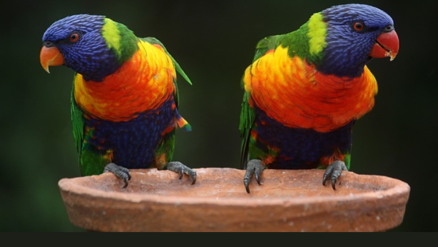 Verbindend communiceren