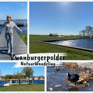 Vr 16 mei: NatuurWandeling in de Zwanburgerpolder 🌿