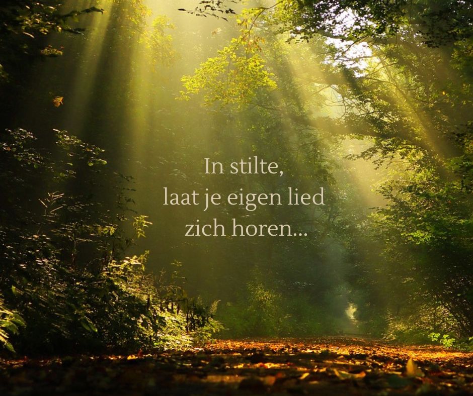 Ik zing mijn eigen lied