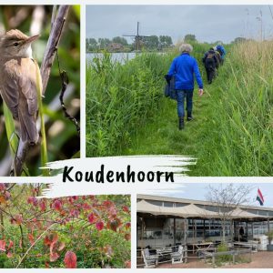 Natuurwandeling op Koudenhoorn