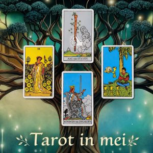 Tarot reading Ik zing mijn eigen lied